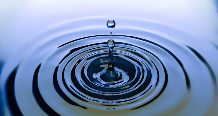Les Enseignements Prophétiques sur l'Importance de l'Eau